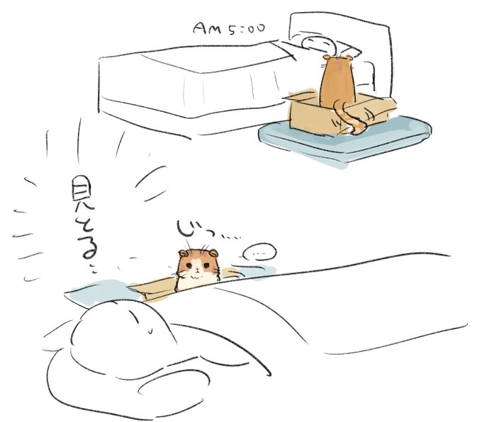 尻尾が段ボール擦ってる音だけ聞こえる 