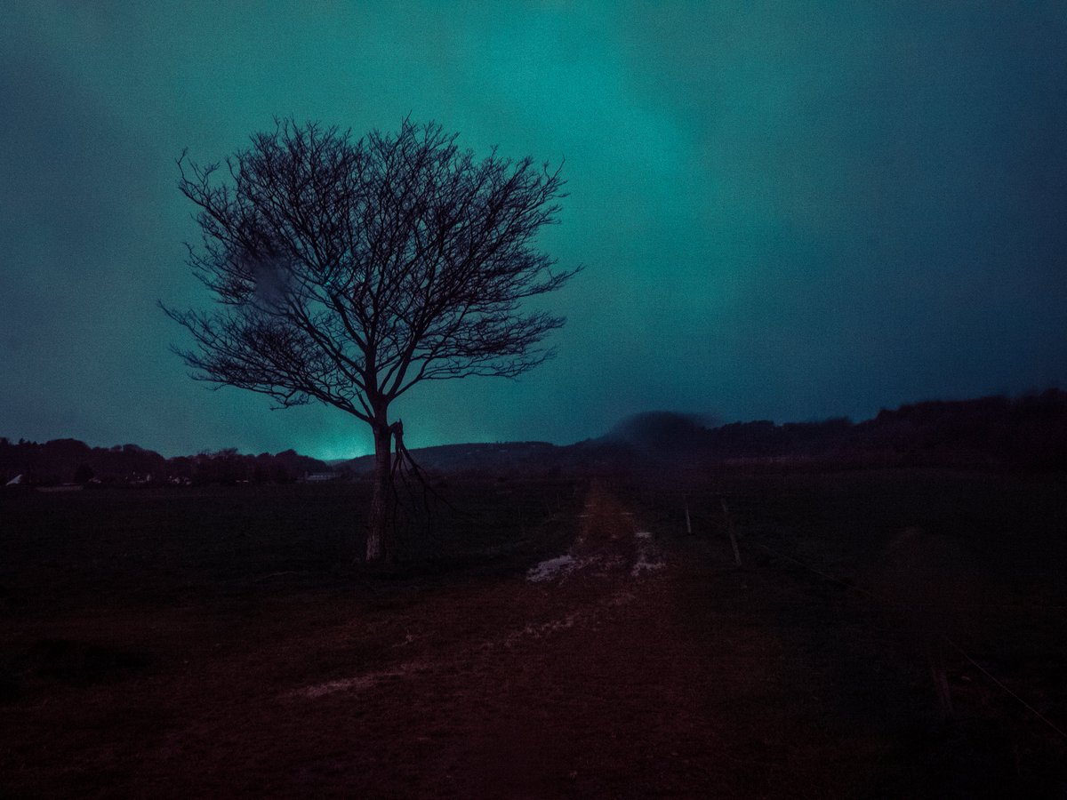 The Colour Of Dullness