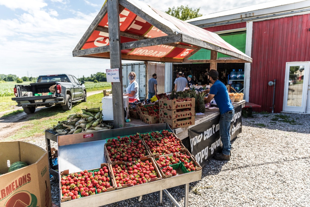 InvestinBrant's tweet photo. Agriculture is one of the fastest-growing sectors in the County of Brant. The Brant Economic Development and Tourism team is fully engaged in this sector.

Stay tuned this week as we showcase what is happening in Brant for Agriculture. 

#BrantWorks #BrantFarmsForAll https://t.co/jOp4KFNTVk