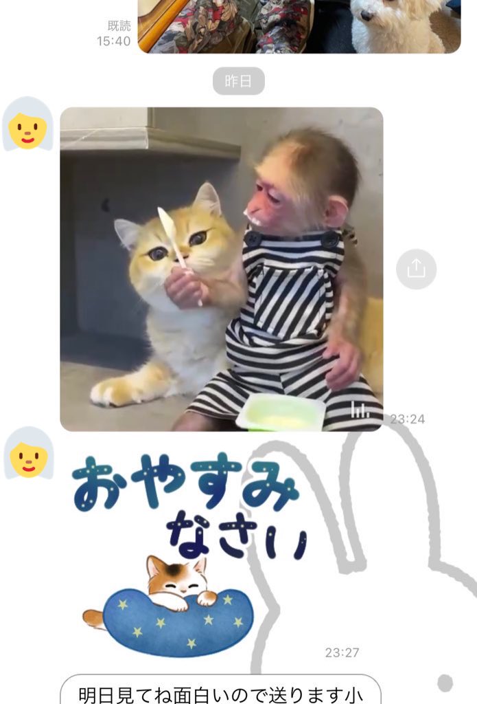 朽ち子 どうしておばあちゃんからのlineは海外のよくわからん短い動画がいつも付いてくるんです うちのおばあちゃん 79 だけ T Co A5d7rf9xur Twitter 朽ち子 どうしておばあちゃんからのlineは海外のよくわからん短い動画がいつも付いてくるんです うちのおばあちゃん 79 だけ T Co A5d7rf9xur Twitter