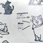 使ってみたいイタリア語!「ニャーニャー鳴く」は「ミャゴラーレ」!