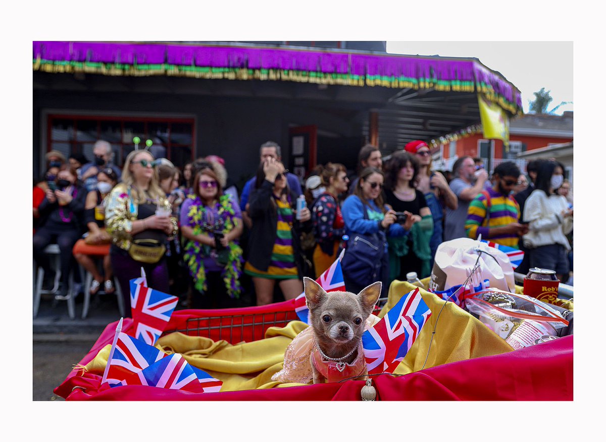 Mardi Gras 2022 in New Orleans is back baby! (For AFP) #MardiGras #Barkus NewOrleans