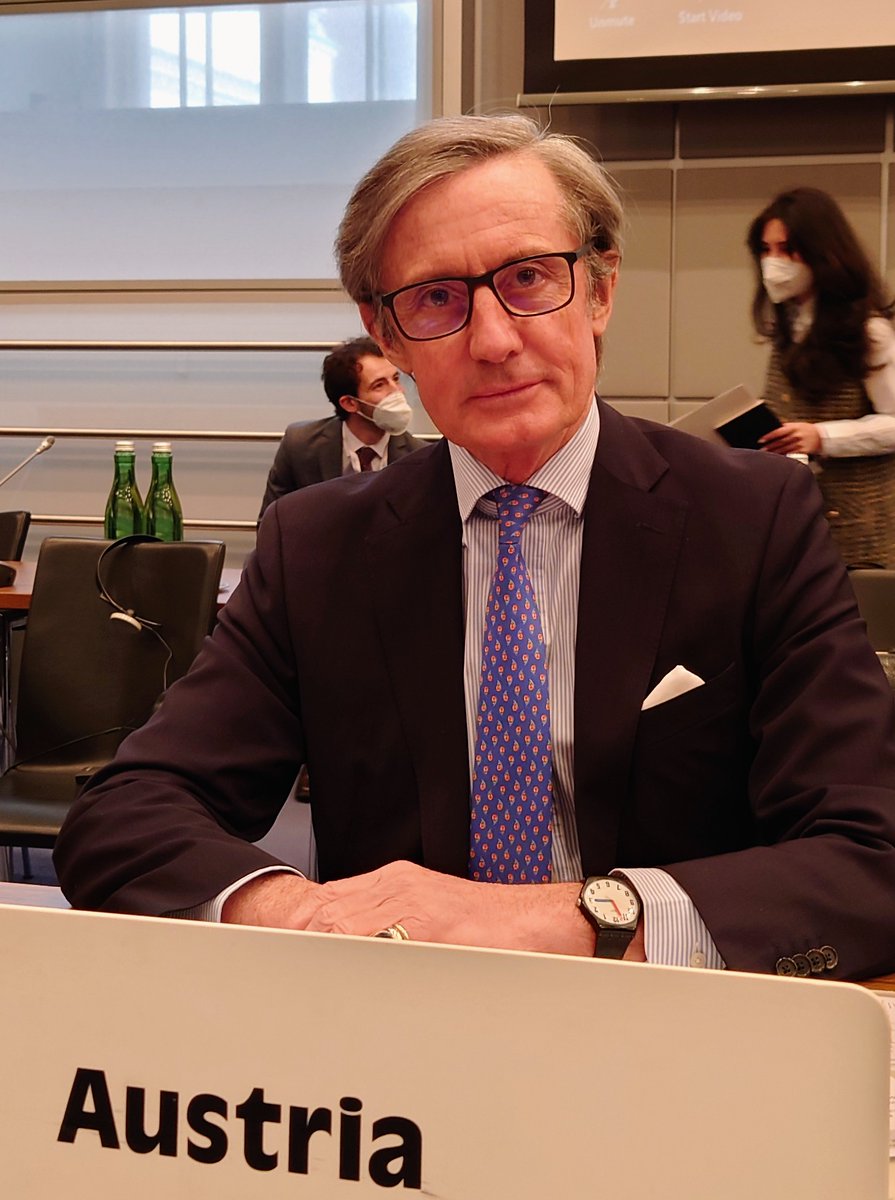 AUT_OSCE's tweet photo. 🇦🇹 DepFM #Launsky-Tieffenthal joined special #PC meeting on Ukraine: “When the breach of intl law & military force are options, when disinformation is used as weapon, several red lines are crossed - legally, politically & morally. This is why our full solidarity is with 🇺🇦.” /1 https://t.co/zCes5AdWh2