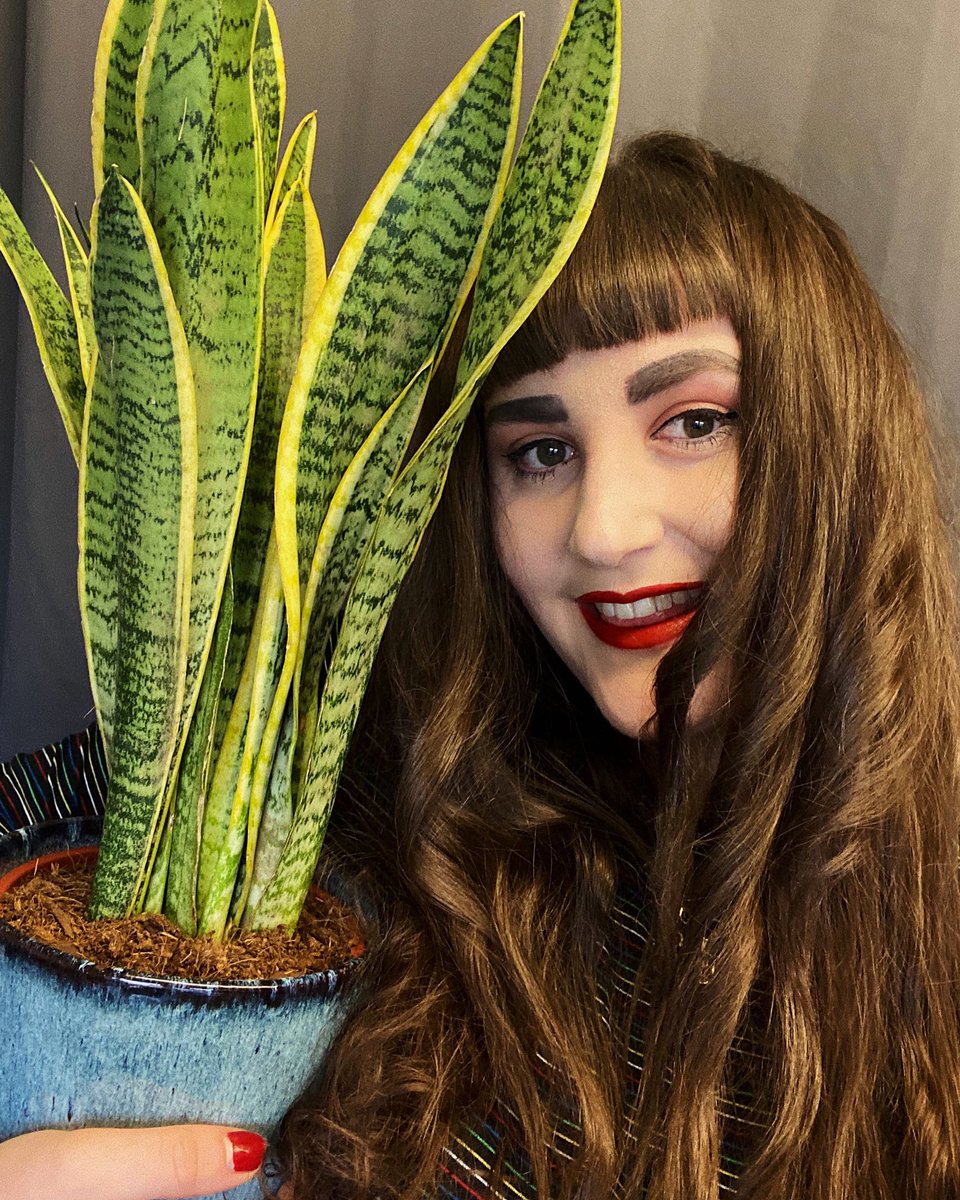 ktediana's tweet photo. My boyfriend knows me well to cop me a LOW MAINTENANCE plant boi cos I’m useless🪴 https://t.co/sdACevZl6i