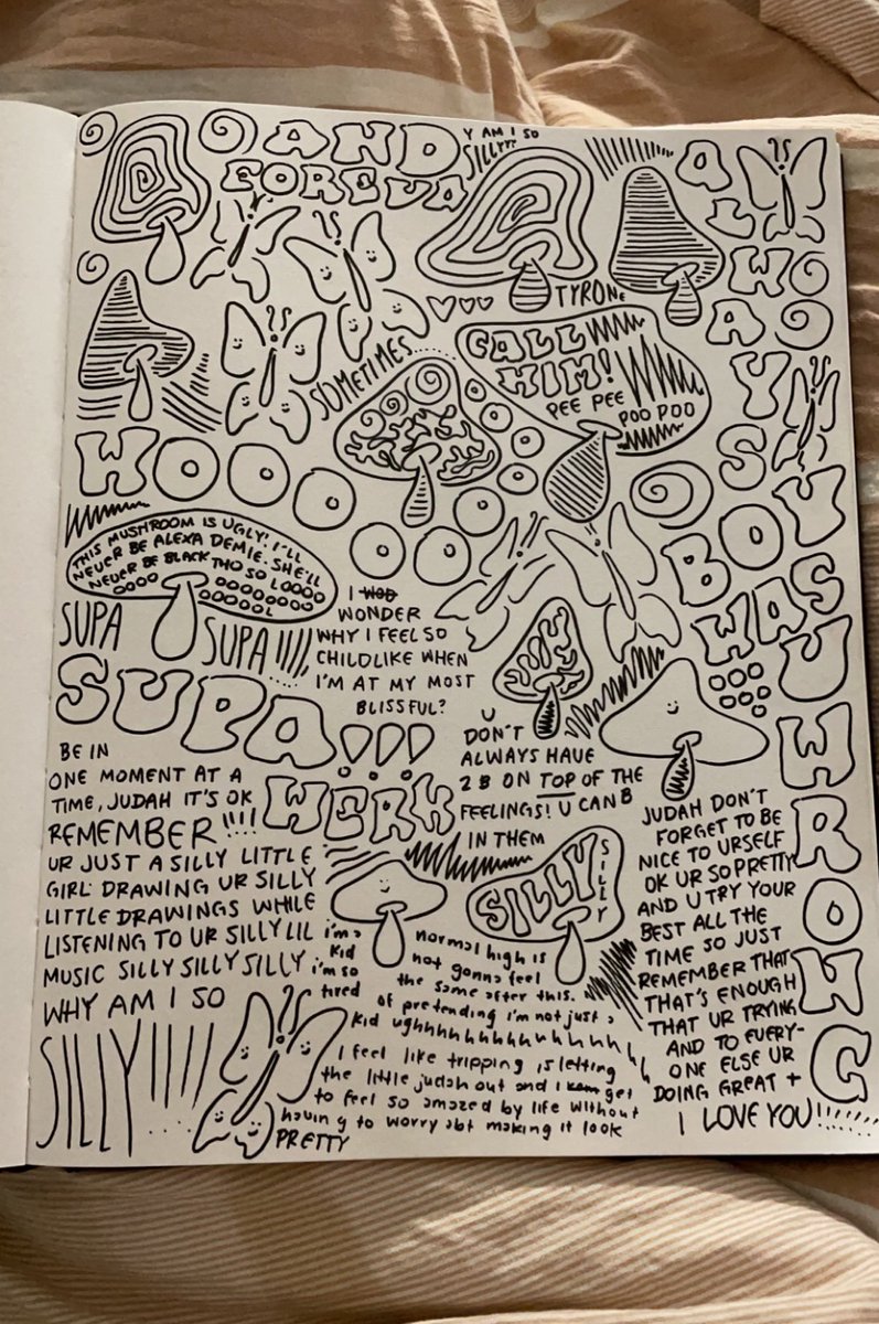 this is what i drew during my shrooms trip