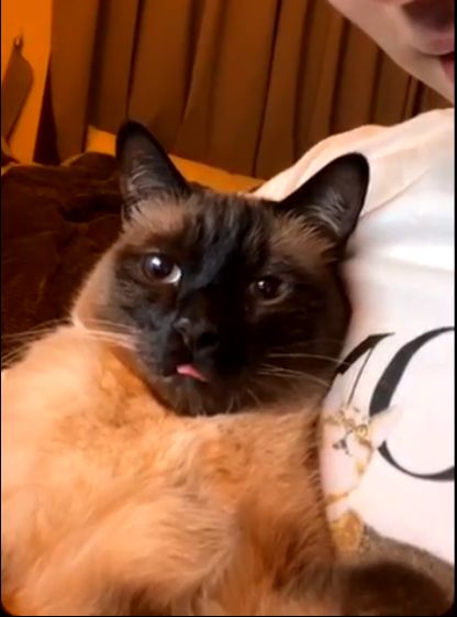 tenascat's tweet photo. he's so funny https://t.co/GEkXAJUP6A