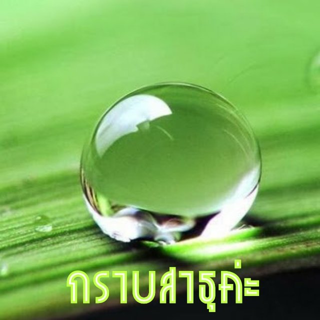 sornwaree072's tweet photo. @Psanitwong ต้นบุญต้นแบบที่โลกต้องการ https://t.co/V69qT2CX4Y
