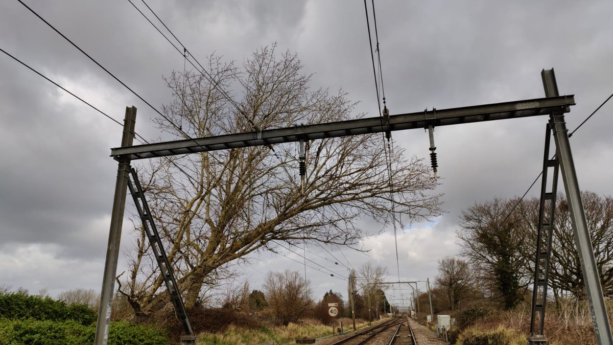 greateranglia's tweet photo. There are no trains between Shenfield, Ingatestone and #Chelmsford as fallen trees have caused the overhead electric wires have come down. 

Network Rail are currently on site now assessing the damage and preparing for repairs. There will be more information on this soon. https://t.co/PbC6EM79F3