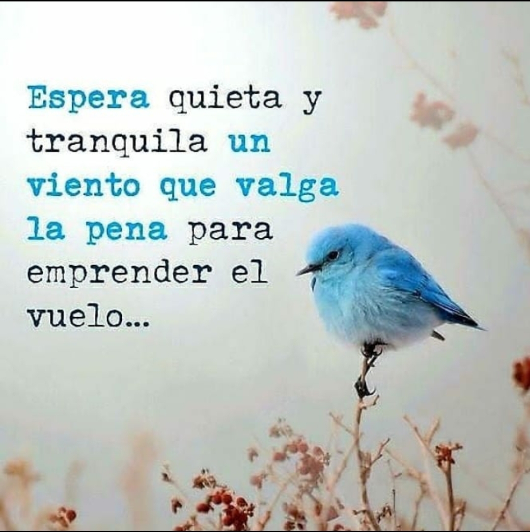 Paulo Coelho Español (@paulocoelhodice) on Twitter photo 
