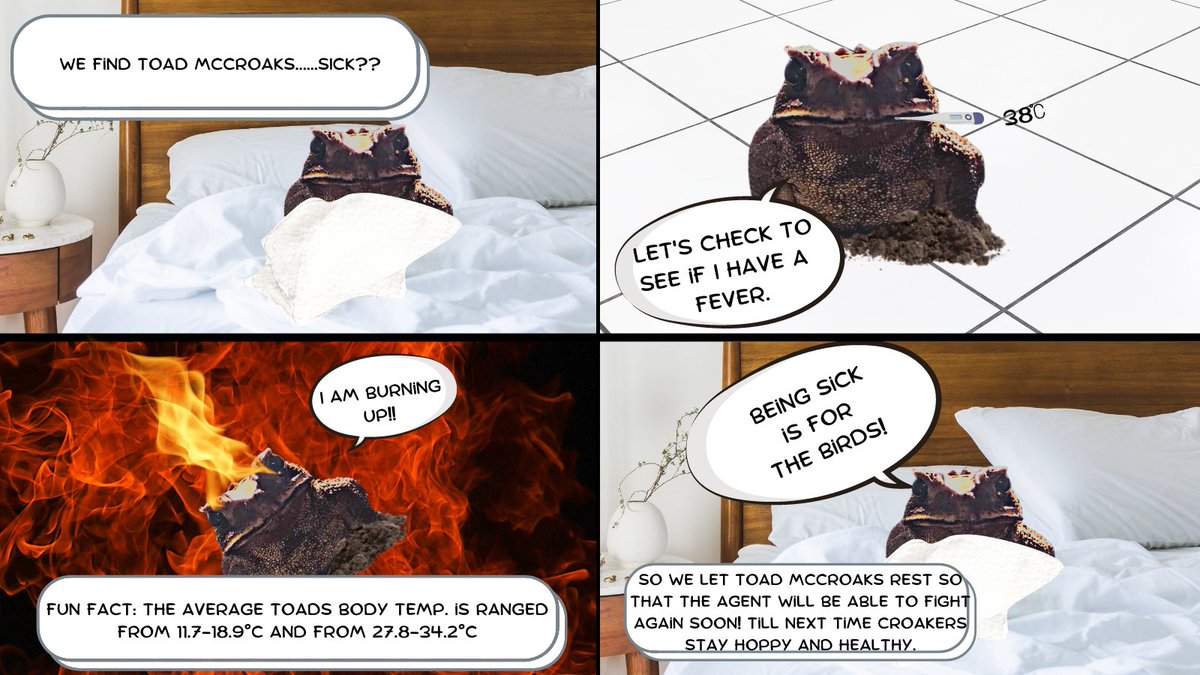 mccroaks's tweet photo. It's ToadNDay aka Monday. That means a New Comic Strip from this Toad!! Needless to say it hasn't been that adventurous of a week. Let's see where we left our hero last. #NFT #NFTs #NFTCommunity #Croakers #mccroaks https://t.co/4j4fG5PeNq