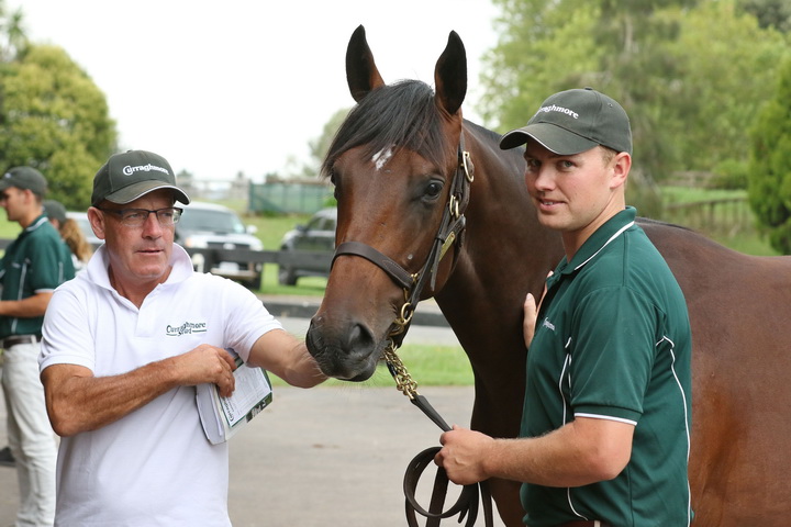 #MondayMemories we would love you to tag us with your favourite ITBA National Breeding & Racing Award memories of year's gone by. Sponsored by @AgaKhanStuds we look back to 2020 Wild Geese Award winner Gordon Cunningham. 🎬WATCH: buff.ly/39zLVnO #itbawinners | 🏆