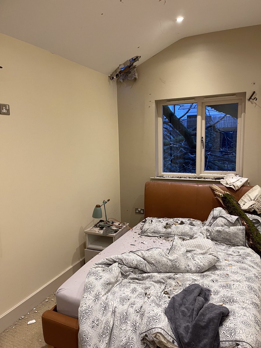 Fiona Marley Paterson tweet media