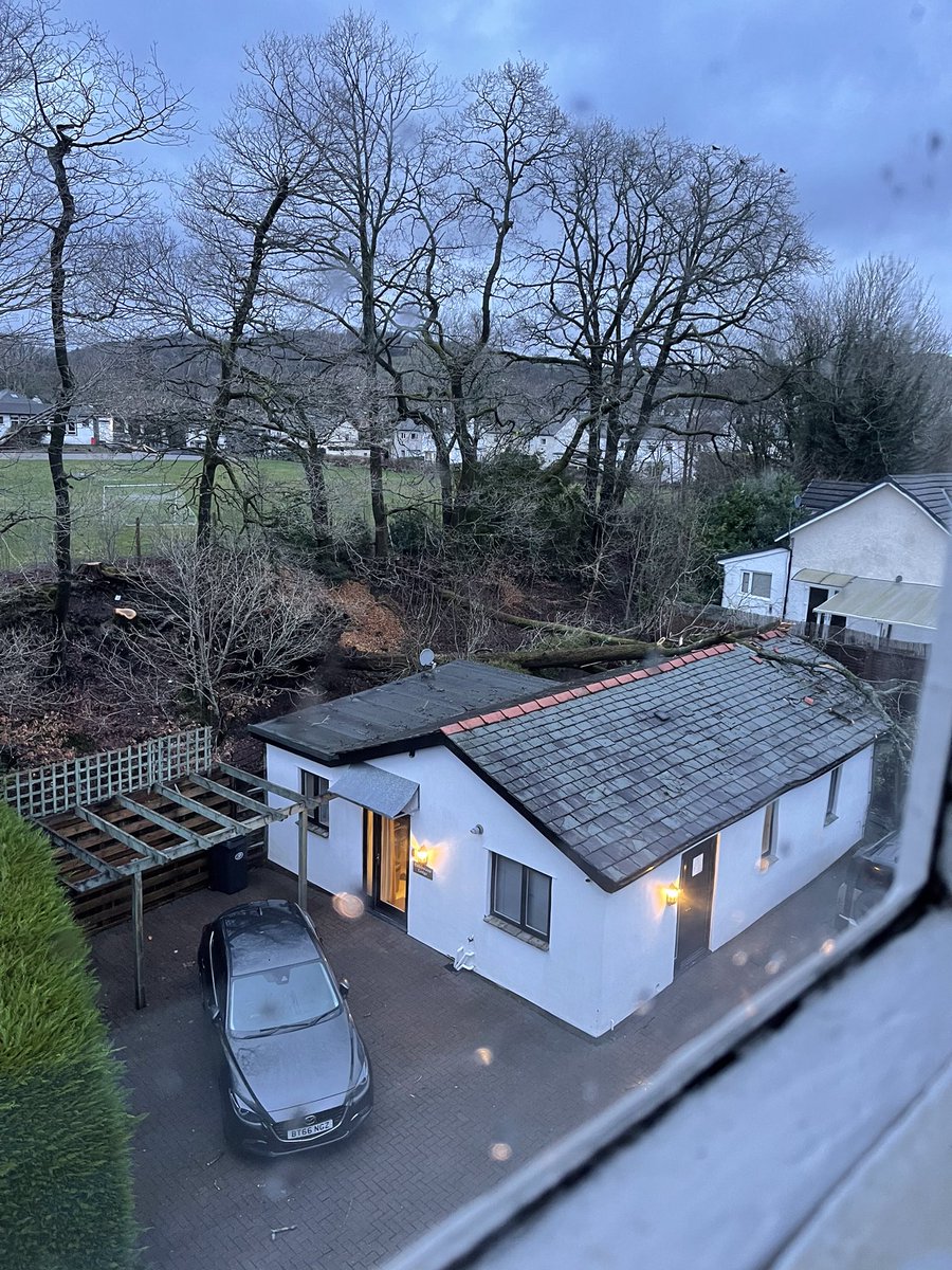 Fiona Marley Paterson tweet media