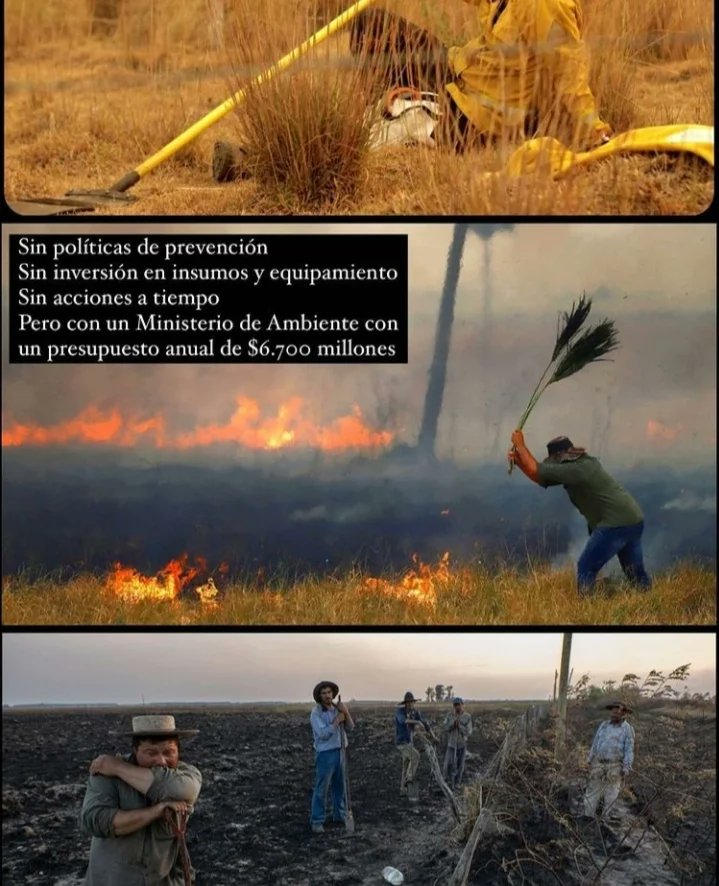 VaaniLara's tweet photo. Me siento muy team "Santi Maratea " y actuó en consecuencia pero no puedo dejar de preguntar y preguntarme donde esta el estado?? https://t.co/zsIV6FPwVD