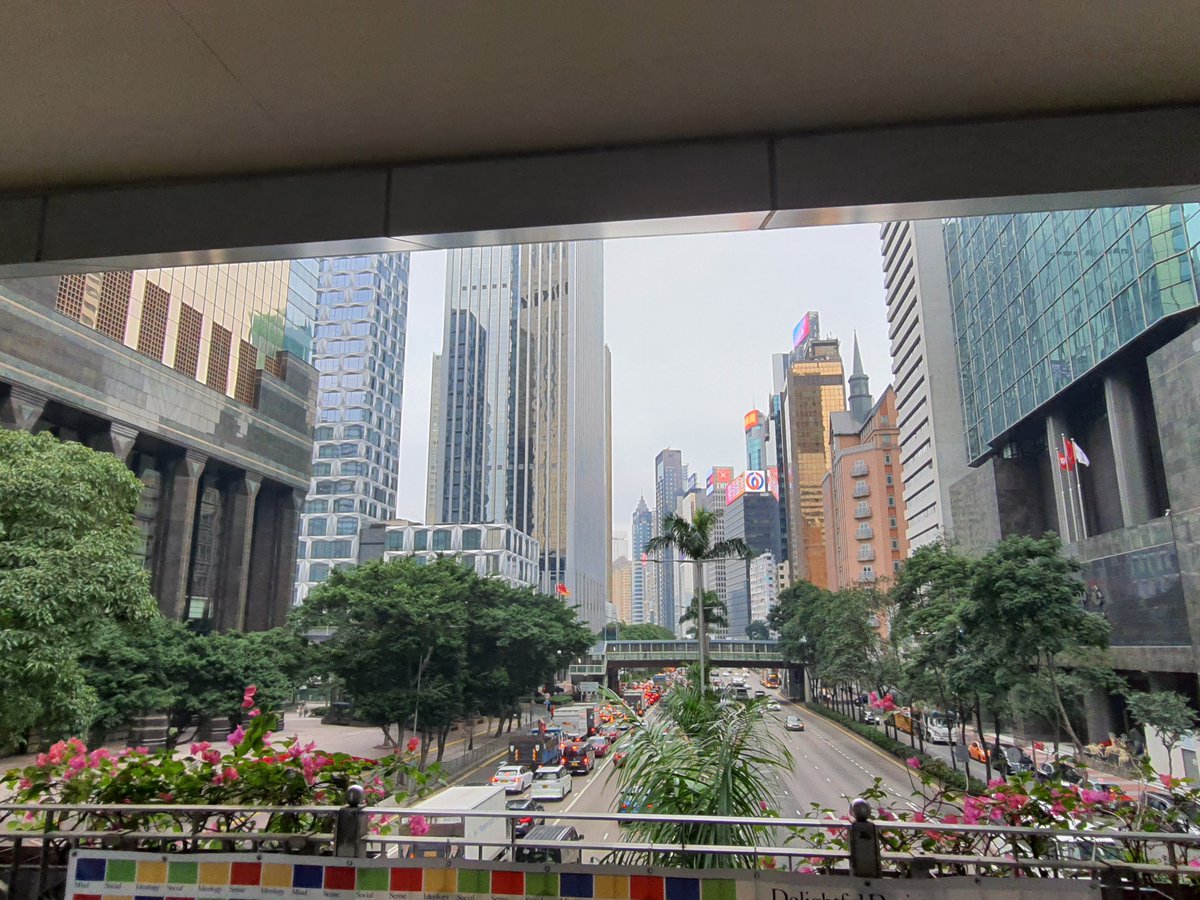 ElanElantweets's tweet photo. #vss365 A #belt of concrete ledges hoist her up to the tops of familiar but dissimilar flora; hoist her afloat above but foisted into other throngs. Sweat shoot down edges of unconditioned flesh. The humidity, the exterrestrial climate–the unknown milieu–#larrup her. https://t.co/Mb3yrhSJ5N