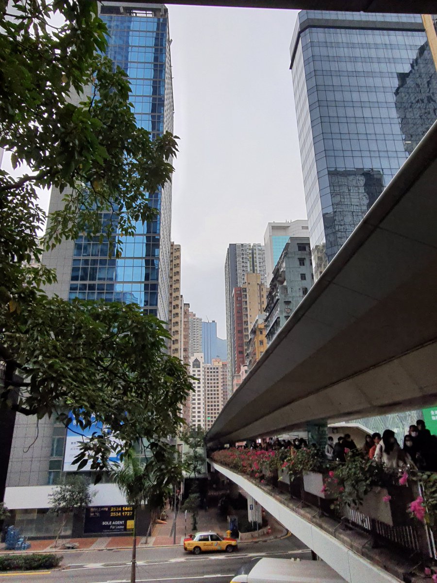 ElanElantweets's tweet photo. #vss365 A #belt of concrete ledges hoist her up to the tops of familiar but dissimilar flora; hoist her afloat above but foisted into other throngs. Sweat shoot down edges of unconditioned flesh. The humidity, the exterrestrial climate–the unknown milieu–#larrup her. https://t.co/Mb3yrhSJ5N