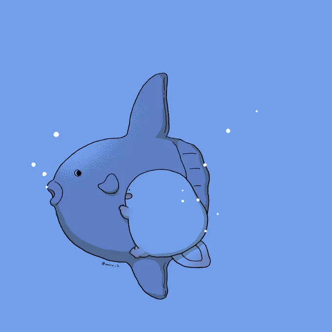 オオサンショウウオ、深夜の深海まとめ。 