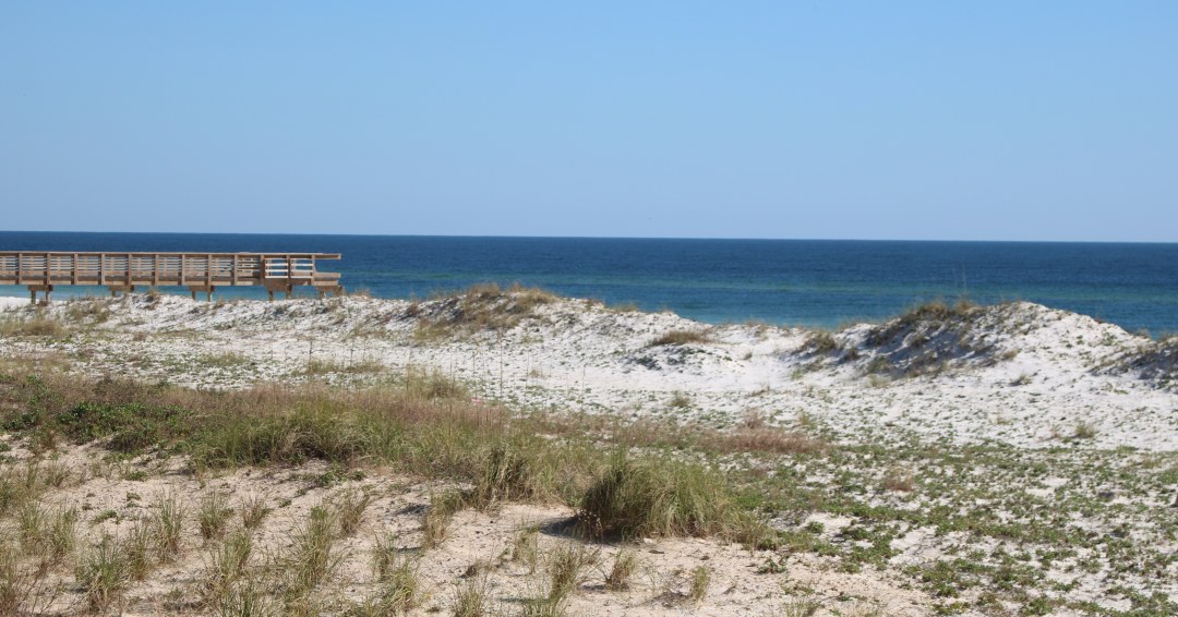 Remember to take photos away from the sand dunes! 

#leaveonlyfootprints #cleanisland #loflifestyle #gulfcoast #gulf #coast #gulfshores #orangebeach #beach #alabamabeaches #alabamacoast #cleancoast #ecofriendly #cleanbeach #photography #beachphotography