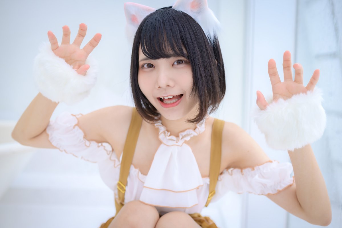 himawariP's tweet photo. 🐈💕💕 #猫の日 https://t.co/96ZNZjPalj