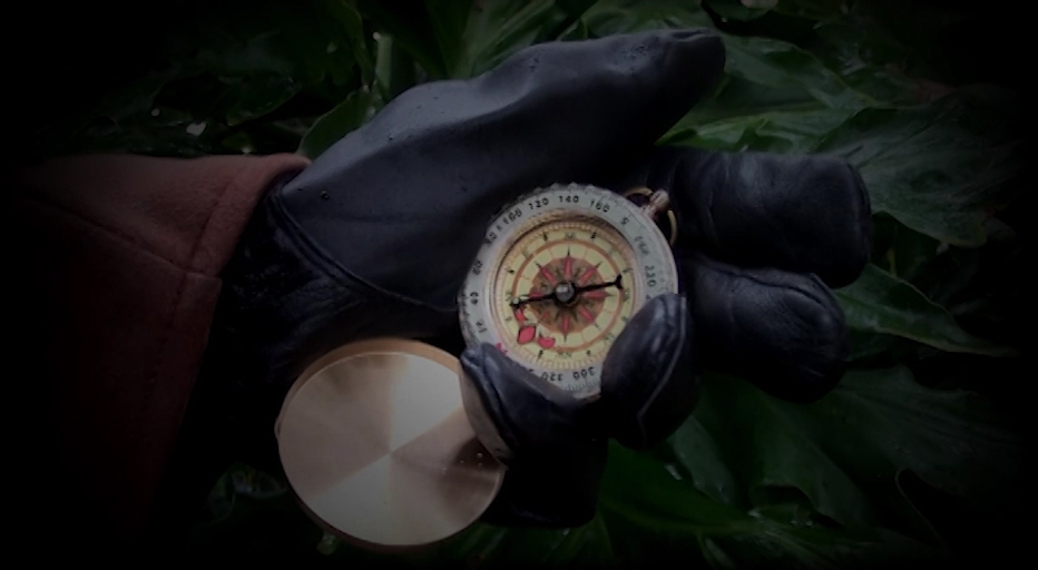 Petunia-Liebling MacPumpkin tweet media