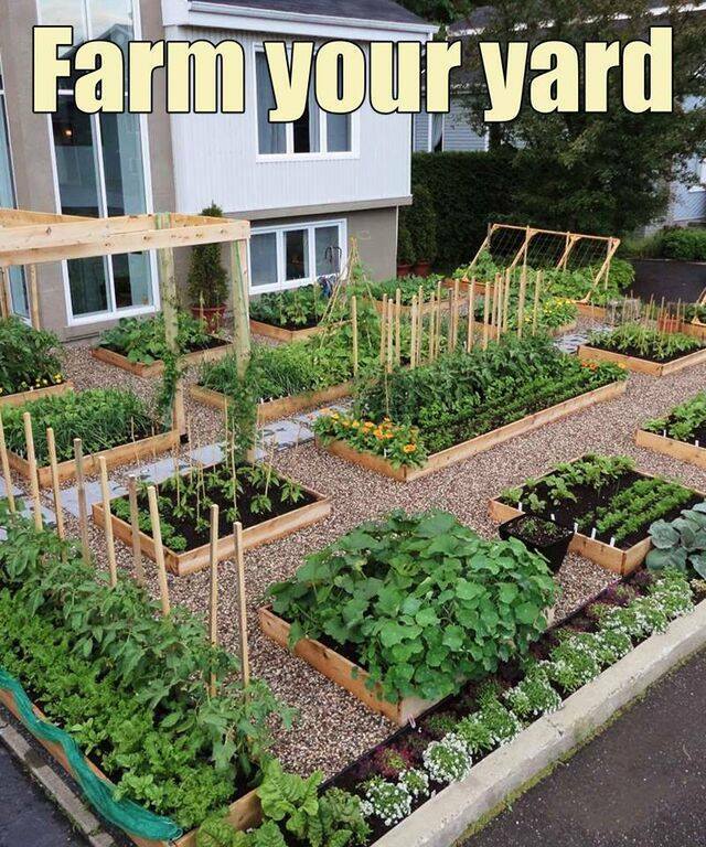 Grow All The #Food You Need In Your Backyard: seattleorganicrestaurants.com/vegan-whole-fo… Various groups of #antioxidants can even work together to promote #health