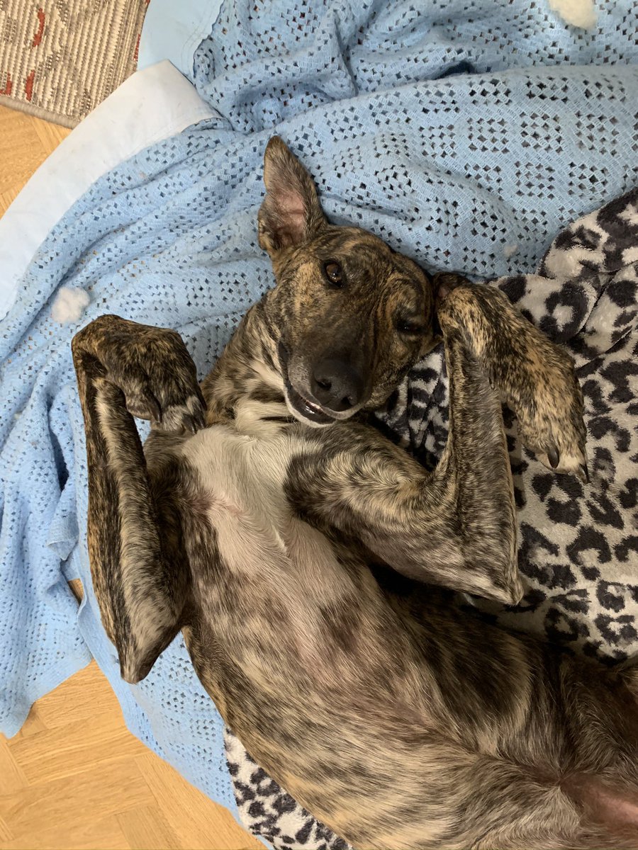 John Elmes tweet media