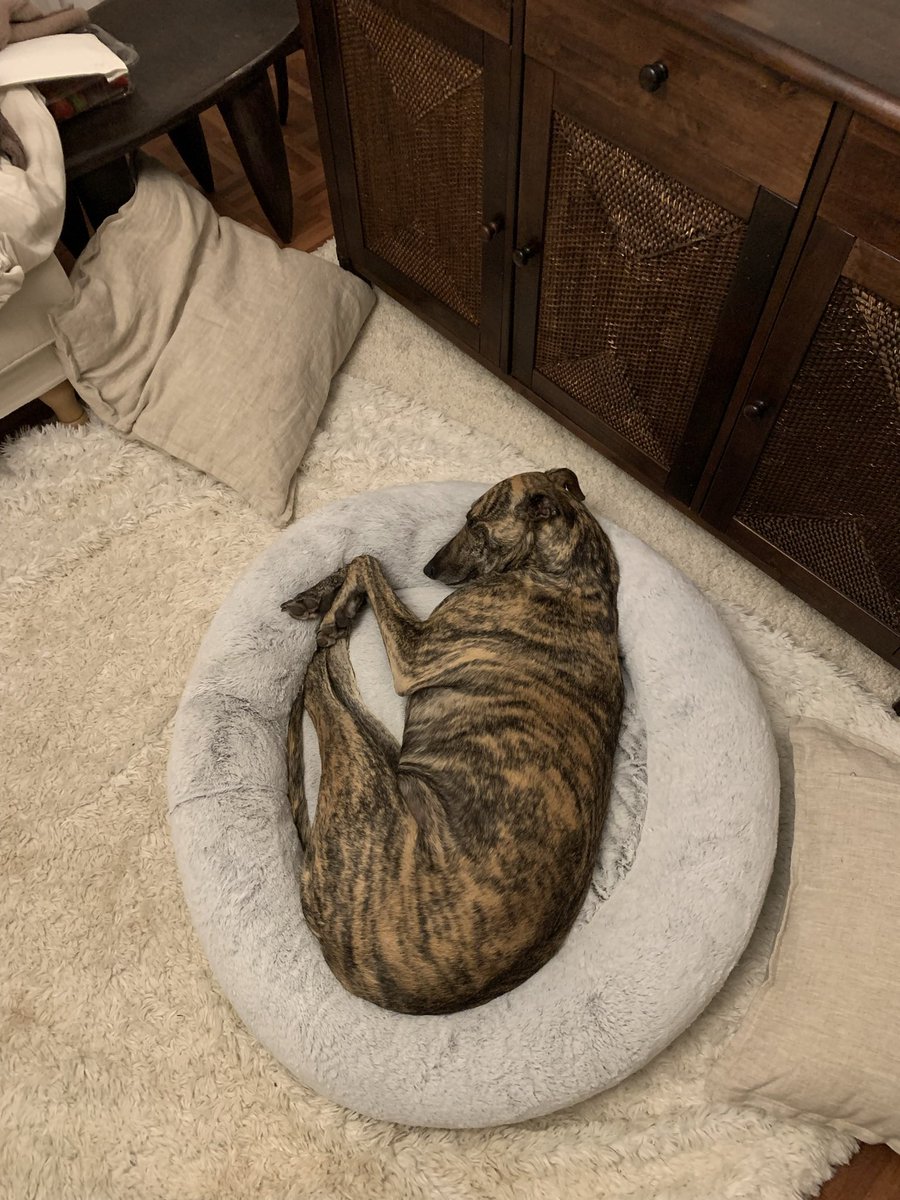 John Elmes tweet media