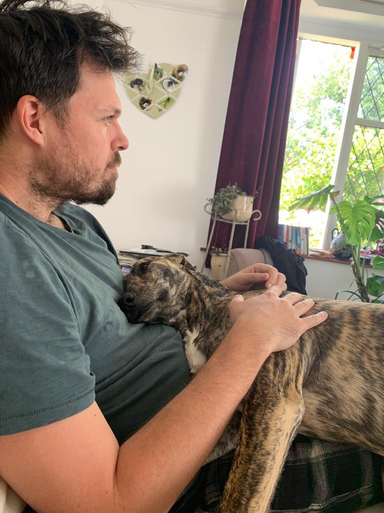 John Elmes tweet media