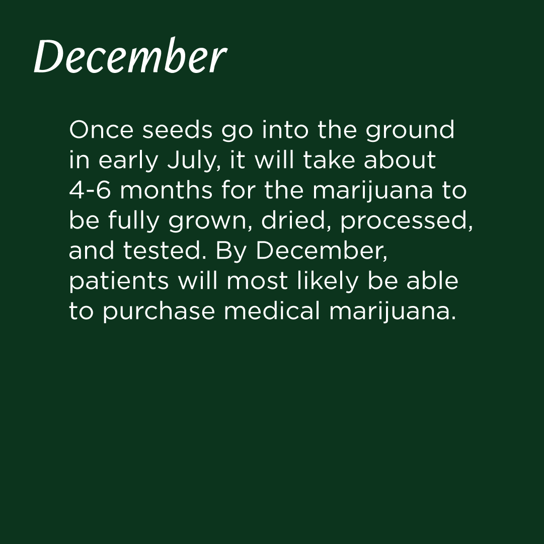So what’s next for medical marijuana in Mississippi? Here’s a timeline of what’s to come.