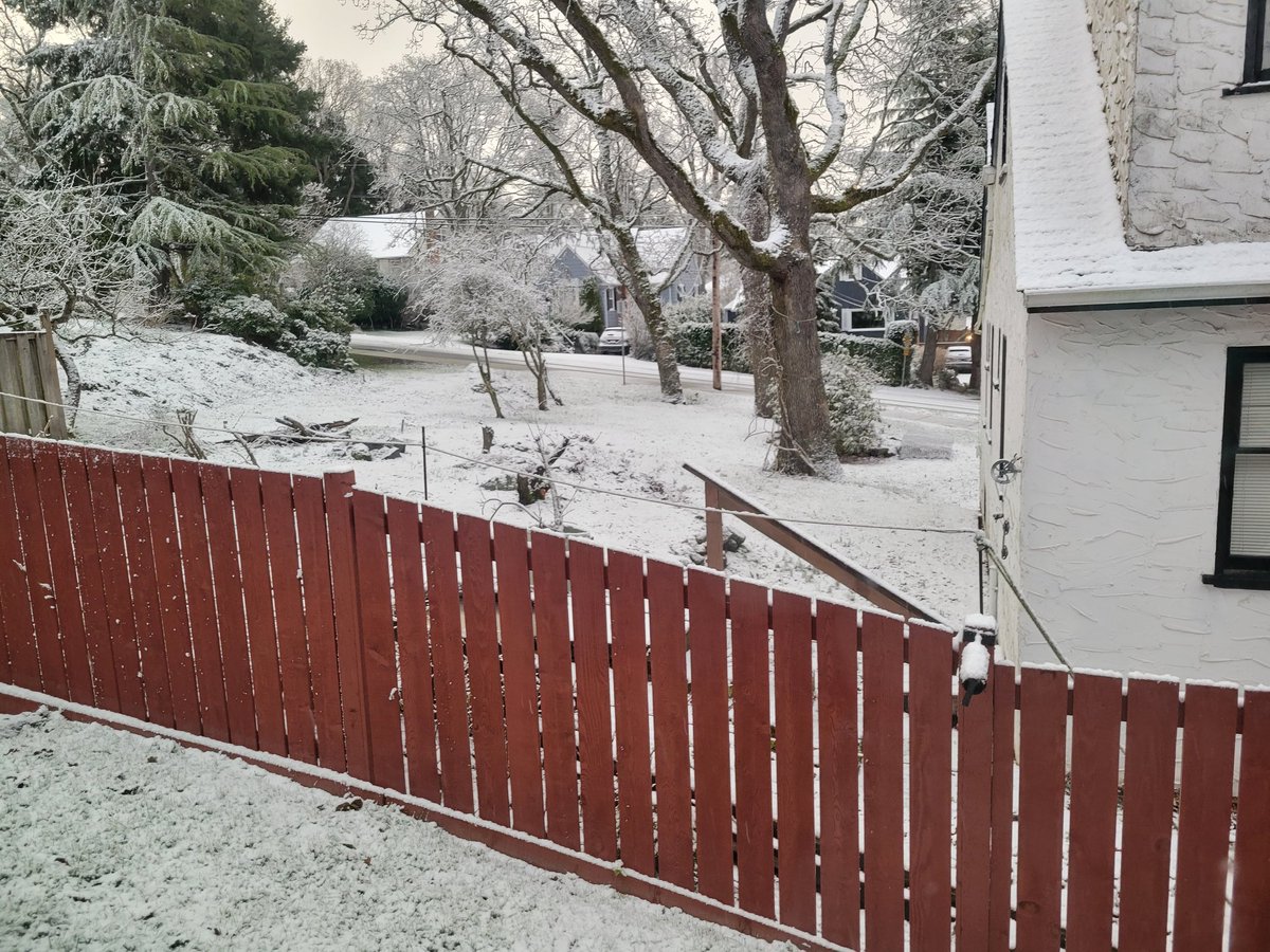 scampden's tweet photo. What the actual heck is this BS? #yyj #winterisntover https://t.co/ndjjICjDqf