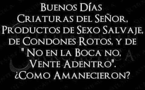 Cómo amanecieron? 🥰 #goodmorning #BuenLunes #BuenosDiasATodos