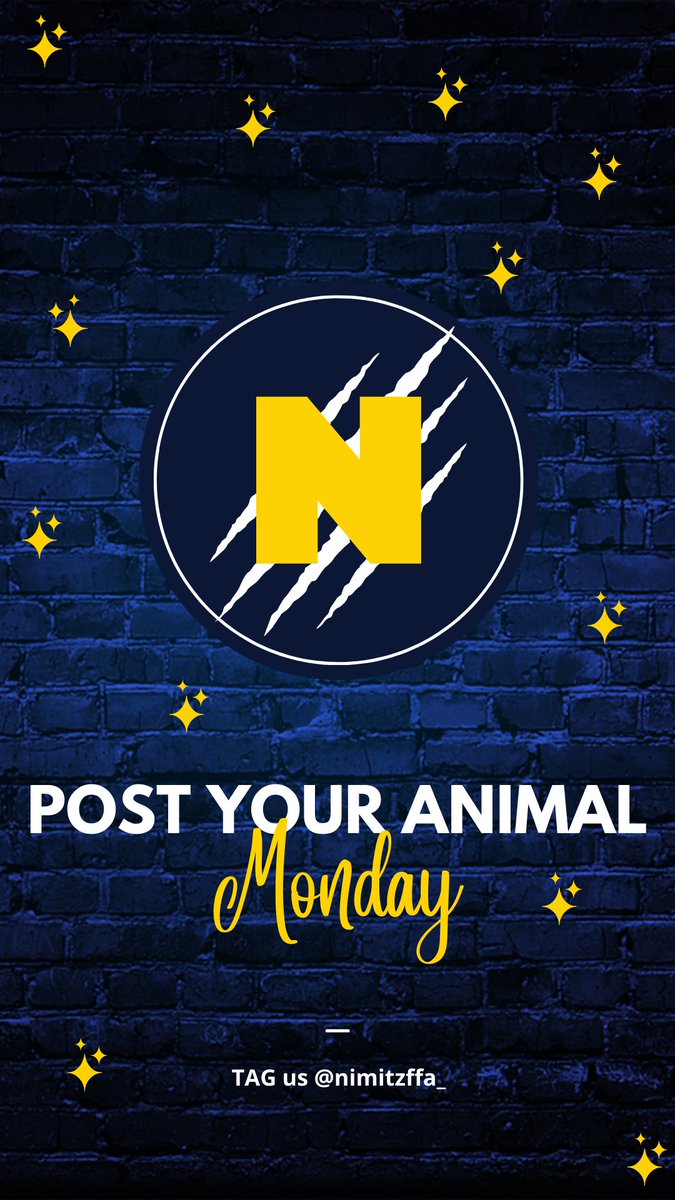 NimitzFFA's tweet photo. Did you raise a livestock project? Or do you have a duck, cat, dog or horse at home?! Post your favorite picture with your animal and tag us #FFAweek #IgniteFFA @NimitzHS_AISD @Nimitz9_AISD @AldineISD @AldineCTE https://t.co/O3ecKJwOXS