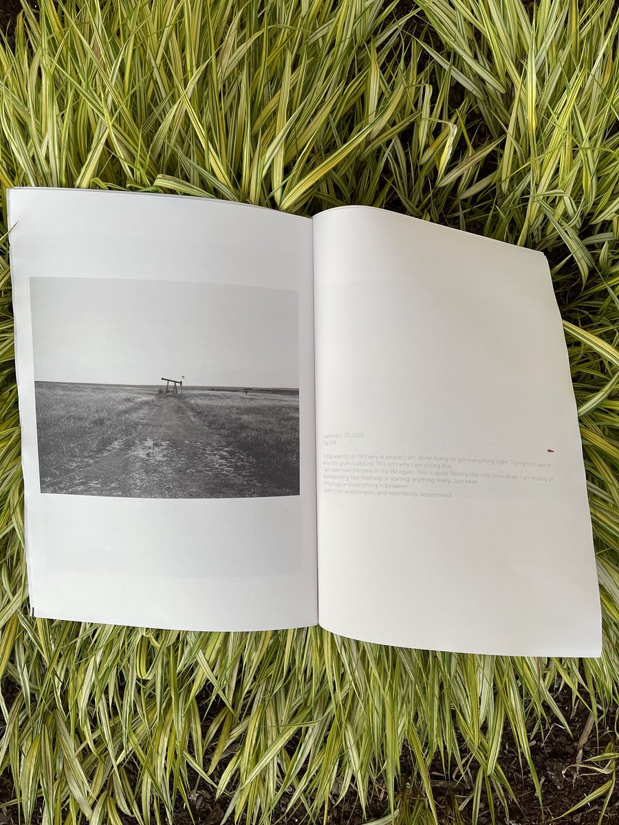 Nomadic Photo Ark 🚐🎞️📸 tweet media