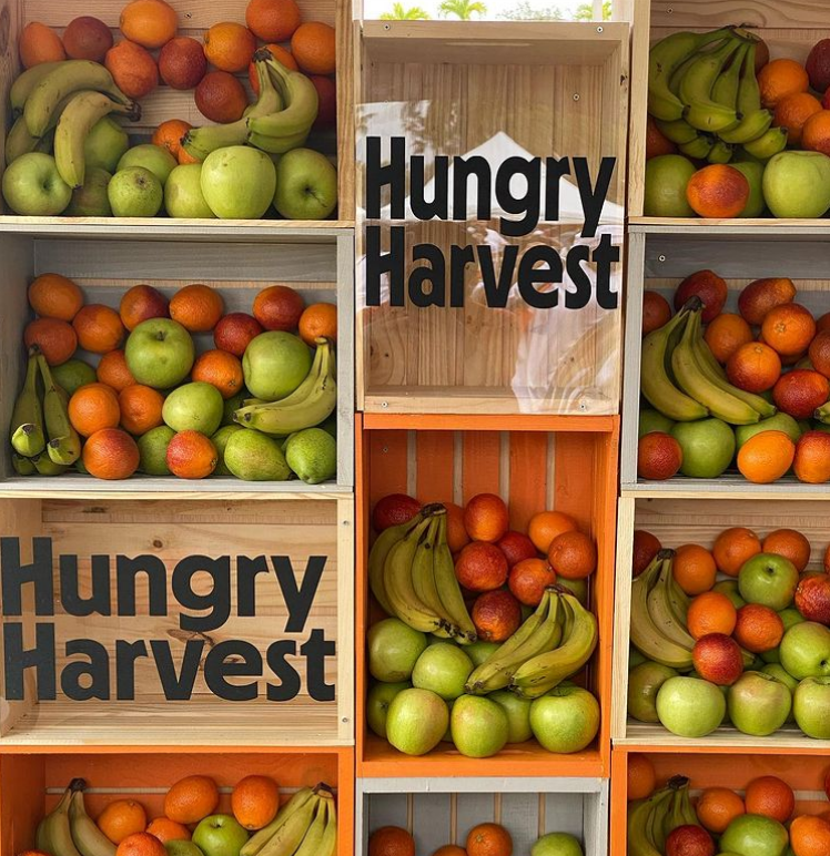 CGArtsFestival's tweet photo. Hungry Harvest is bringing plant power and kitchen inspiration to #CGAF22. Come check out their mission to build a healthier planet with greener grocery (and get some major inspo) at Kitchen Combat in Peacock Park! #hungryharvest https://t.co/yiNAudTtdc