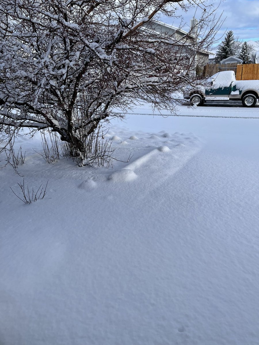 shanlcuy's tweet photo. So glad I’m not going anywhere this morning https://t.co/9VnWdVVS9N