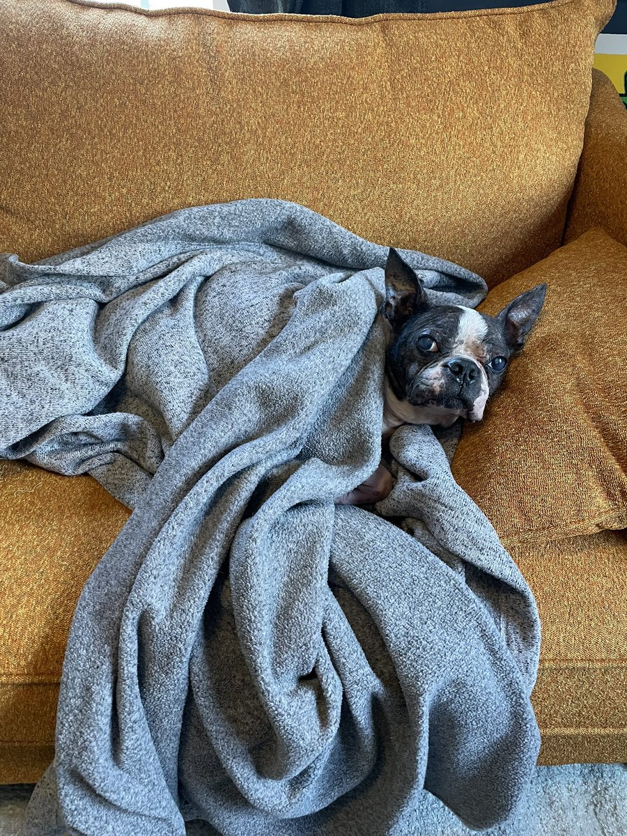 Mondays, folks, we don’t like em