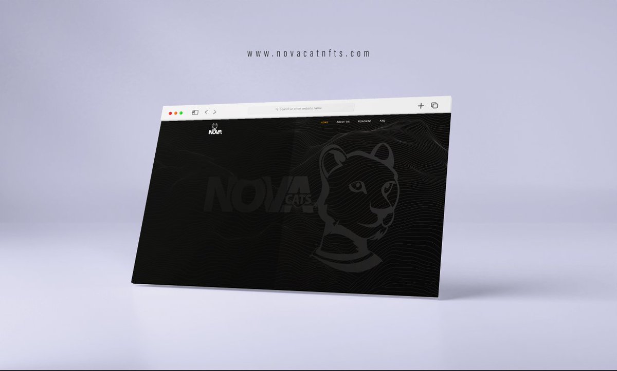 Nova Cats tweet media