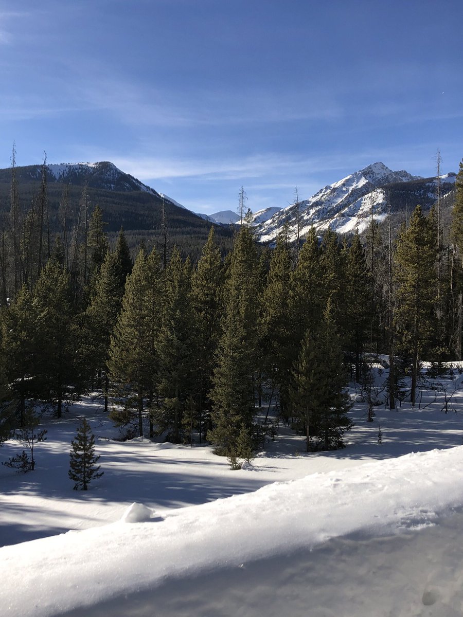 Realrellim's tweet photo. Yesterday’s road run on Trail Ridge Road in @RockyNPS with the #miniaturepoodle. Dogs aren’t allowed on trails so winter is the only time he gets to run with me there. #Runstreak day 1236 #zoomarun #zoomarunclub #skirtsports #running #findyourpark #grandcountycolorado https://t.co/Z9F1iKho5S