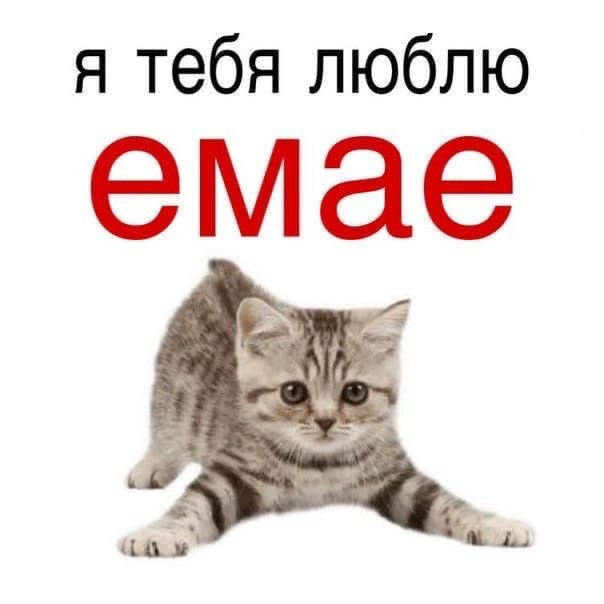 somniaergosumm's tweet photo. @koogrlfrnd Я ТЕБЯ БОЛЬШЕ, КРОХА 💕😭 https://t.co/A7ZbSNuZD3
