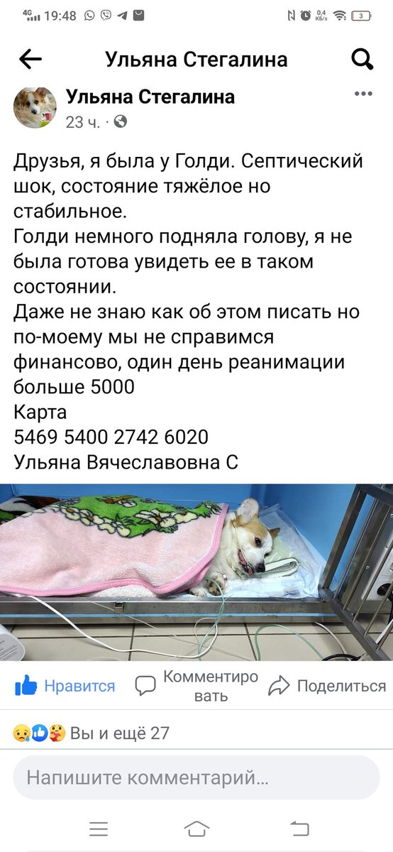 У подруги случилось несчастье, заболела любимая собака. Просит помощи. Только бы все обошлось...

m.facebook.com/photo.php?fbid…