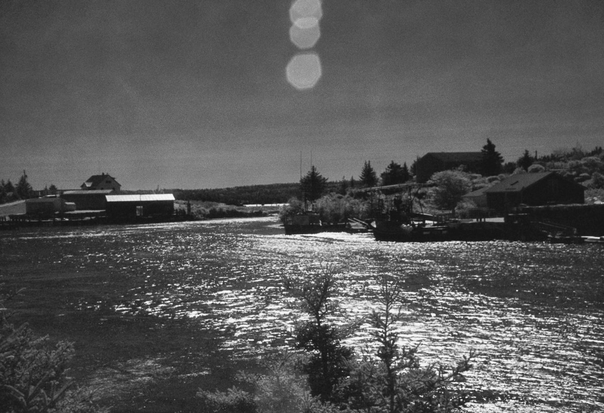 log_raphy's tweet photo. the river styx

details:
📷 Pentax MX + IR720 filter
🎞 Ilford SFX 200
🧪 Kodak XTOL / Paterson tank 
🖥 Negative Lab Pro
📍 Sambro, Nova Scotia, Canada

#infrared #halifax #blackandwhite #photography https://t.co/gTvjBsix8r