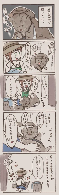 猫の日🐈 