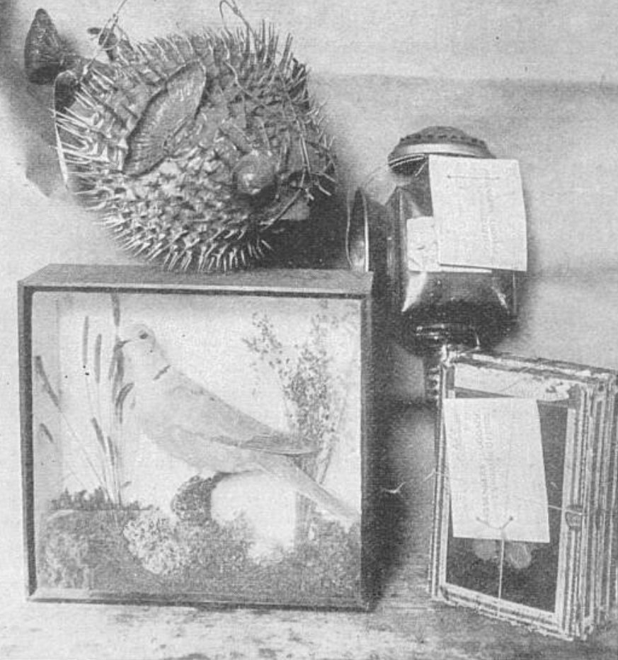 'Hello. Is that the Lost Property Office?' 'Yes' 'I don't suppose you've had a porcupine puffer fish handed in? I left it on the 5 45 train from Farnborough into Waterloo.' 'It's your lucky day sir.' (Image taken in 1899 inside the Lost Property Office at Waterloo Station)