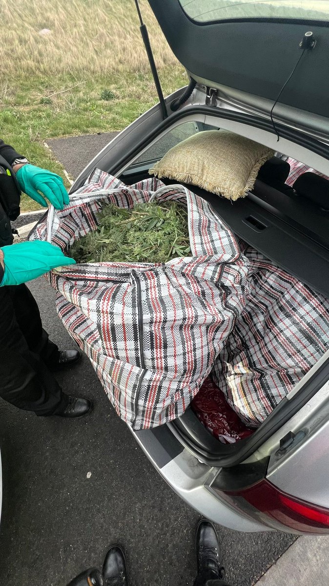 CambsCops's tweet photo. When you decide to spend your Saturday afternoon gardening and put all your clippings in the car to take them to your mates house, but forget that you don’t have a driving licence and then get stopped by the police... oops! #Seized #SmellsFunky https://t.co/ZXnNLEa7QD