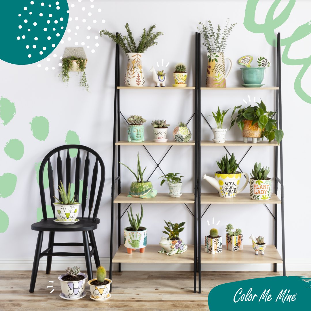 TBH, we think there’s still room in here for more succulents. 🪴😍 #ceramicplanters #plantbabies #paintyourownpotterym
