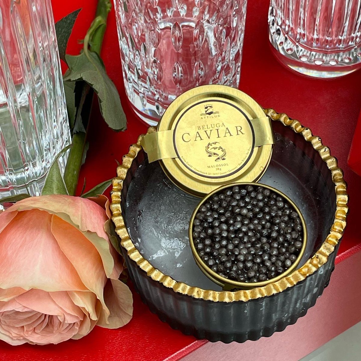 Attilus Caviar (@attiluscaviar) on Twitter photo 