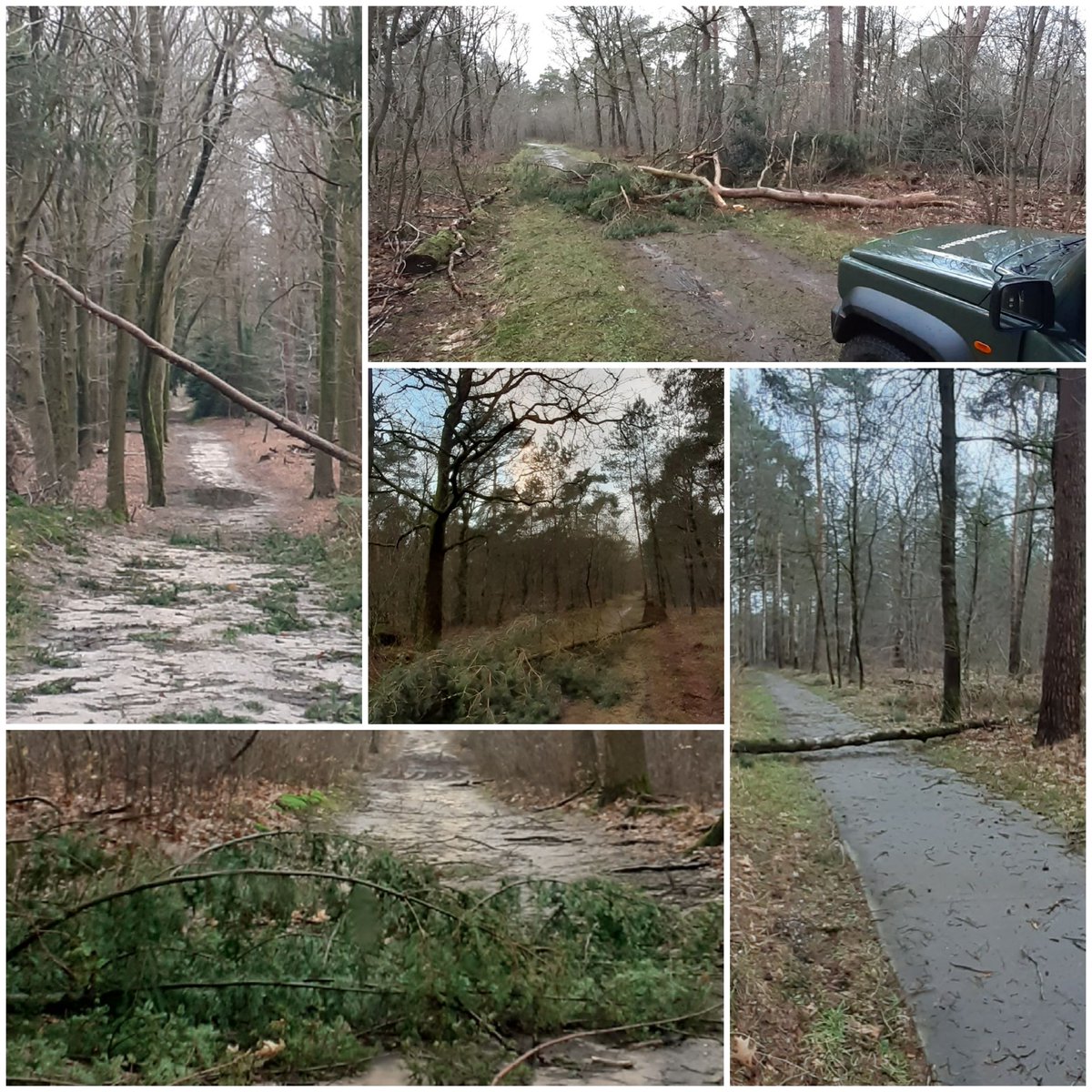 Vandaag is er hard gewerkt om in kaart te brengen waar we stormschade hebben. Op de foto's een kleine greep van wat ik aantrof. Morgen gaan we aan de slag om alles weer vrij te maken. Blijf opletten als je de bossen in gaat en als het even kan, komen nog even niet!