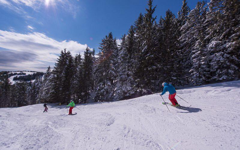 Kam med zimskimi počitnicami? 
V Savinjsko! 😇❄️🏂☃️
•
⬇️⬇️⬇️⬇️⬇️⬇️
🔗 visitsavinjska.com/zimske-druzins…
•
#ifeelslovenia #počitnice #visitsavinjska