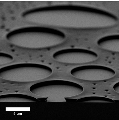 Image of the Month for February: SEM image of pore size control of polystyrene thin films via water droplet templating (Credit: Philip Darragh) 
 <a href="/cranntcd/">cranntcd</a> <a href="/ambercentre/">AMBER</a> <a href="/morris_tcd/">Morris Research Group TCD</a>