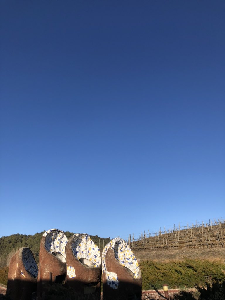 pinoflash's tweet photo. #Perinet @doqpriorat ❤️ https://t.co/TAE6Hw0YWm